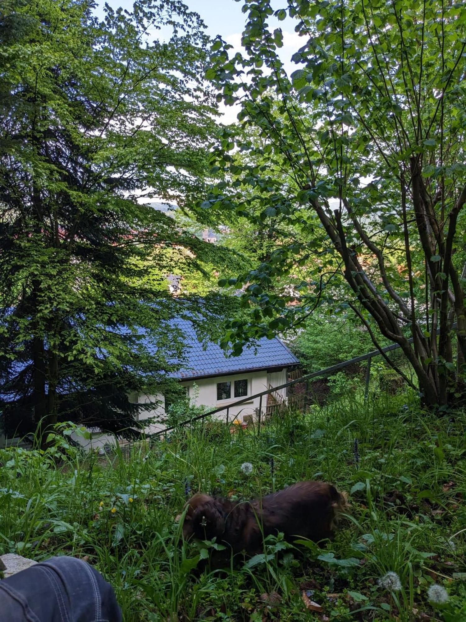 Ferienwohnung Bad Sooden- Allendorf Kültér fotó